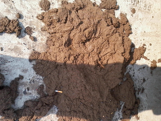 干泥泵,耐磨轉(zhuǎn)子泵,泥餅泵的選型,替換螺桿泵 干泥泵,耐磨轉(zhuǎn)子泵,泥餅泵的選型,替換螺桿泵