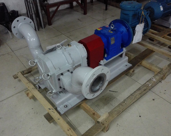 不銹鋼轉子泵 不銹鋼轉子泵