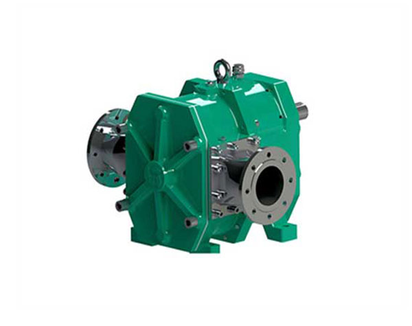 轉子泵廠家 轉子泵廠家